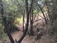 IMG_20260617_070037.jpg