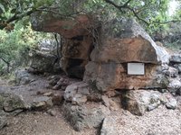 IMG_20260617_071127.jpg