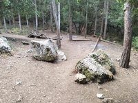IMG_20260617_071214.jpg