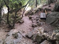 IMG_20260617_071612.jpg