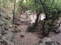 IMG_20260617_071616.jpg