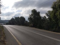 IMG_20260617_075646.jpg