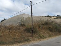 IMG_20260617_075745.jpg