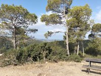IMG_20260617_082812.jpg