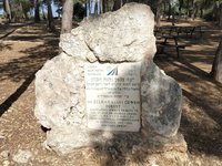 IMG_20260617_091020.jpg