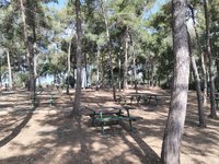 IMG_20260617_091041.jpg