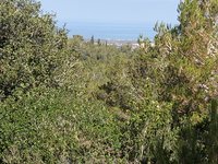 IMG_20260617_092134.jpg