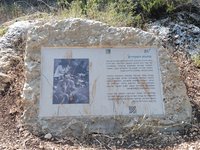 IMG_20260617_092636.jpg