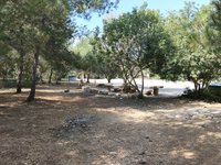 IMG_20260617_093241.jpg