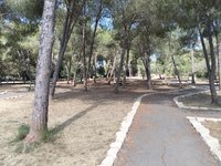 IMG_20260617_093422.jpg