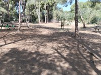 IMG_20260617_093602.jpg