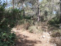 IMG_20260617_095749.jpg