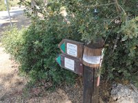 IMG_20260617_100426.jpg