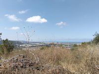IMG_20260617_102826.jpg