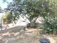 IMG_20260617_102958.jpg