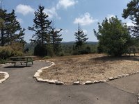 IMG_20260617_103105.jpg