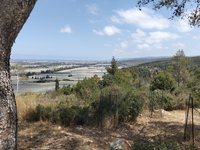 IMG_20260617_103831.jpg