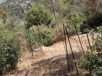 IMG_20260617_103843.jpg