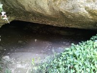 IMG_20260617_112038.jpg