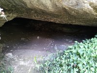 IMG_20260617_112041.jpg