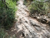 IMG_20260617_112413.jpg