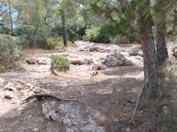 IMG_20260617_114530.jpg