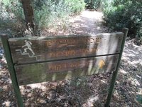 IMG_20260617_120342.jpg