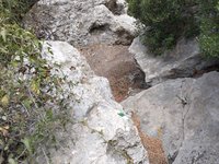 IMG_20260617_123039.jpg