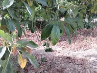 IMG_20260617_163910.jpg