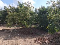 IMG_20260617_170059.jpg