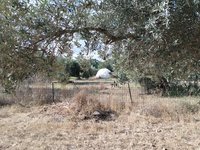 IMG_20260617_170628.jpg