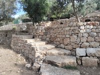 IMG_20260617_171915.jpg