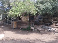 IMG_20260617_172002.jpg