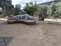 IMG_20260617_172052.jpg