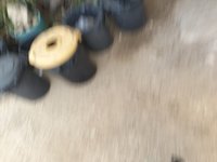 IMG_20260617_172112.jpg