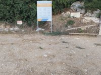 IMG_20260617_175229.jpg