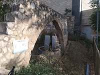IMG_20260617_175710.jpg