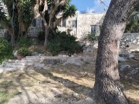 IMG_20260617_175732.jpg