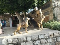 IMG_20260617_180104.jpg