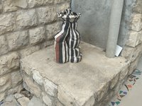 IMG_20260617_180531.jpg