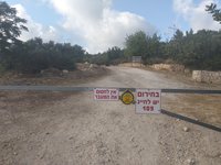 IMG_20260617_181528.jpg