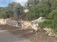 IMG_20260617_181828.jpg