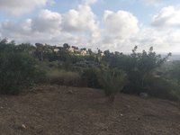 IMG_20260617_182034.jpg