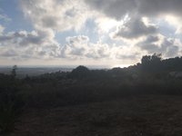 IMG_20260617_182039.jpg