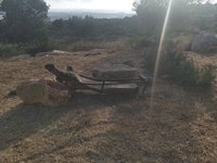 IMG_20260617_182252.jpg