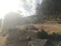 IMG_20260617_182307.jpg