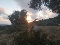 IMG_20260617_193747.jpg