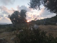 IMG_20260617_194002.jpg