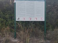 IMG_20260618_055946.jpg