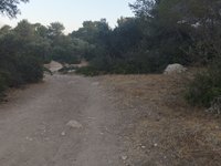IMG_20260618_060122.jpg